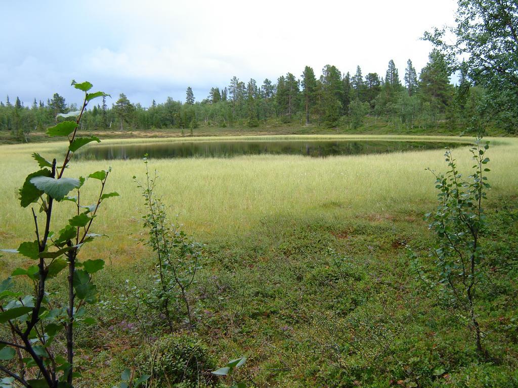 Fjaellriket Baggarden Baggården Exterior foto